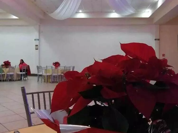 Fotos del hotel El Cason Hotel & Suites:  3