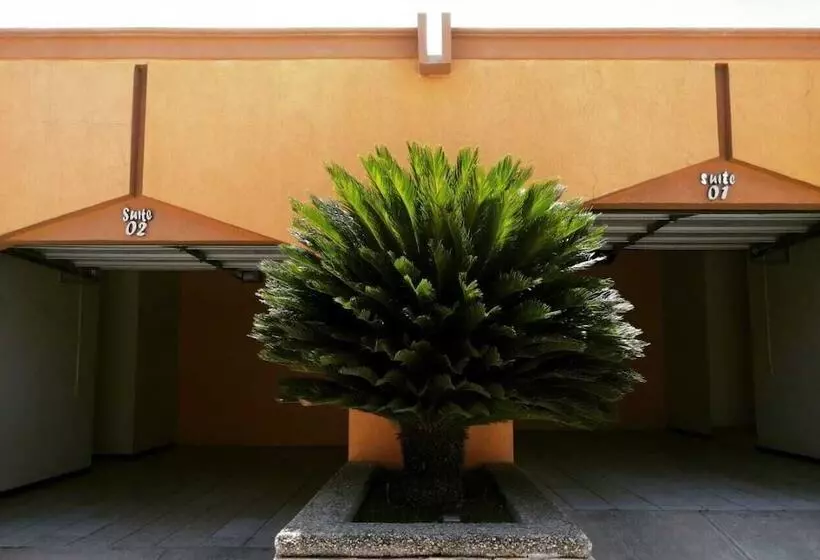 Fotos del hotel El Cason Hotel & Suites:  23