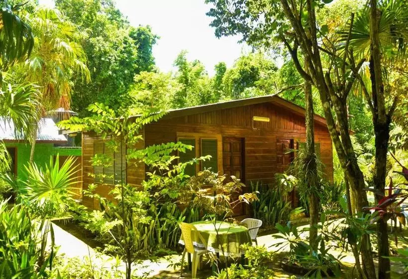 Fotos del hotel Lighthouse Inn 2:  21