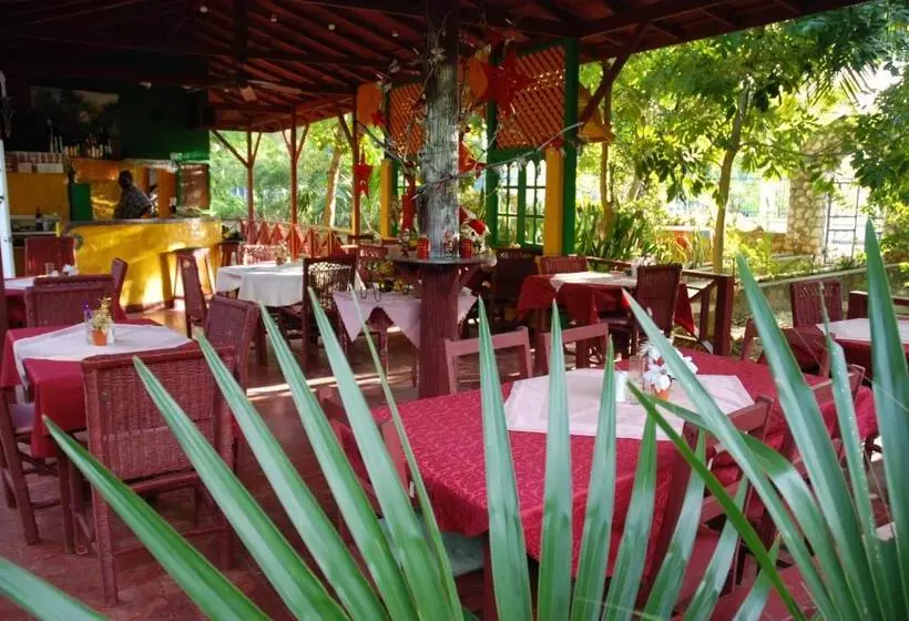 Fotos del hotel Lighthouse Inn 2:  10