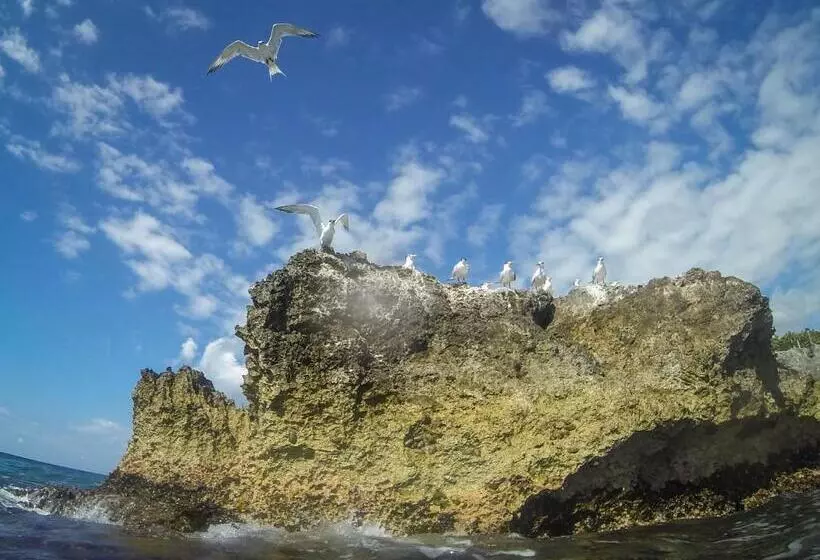 Fotos del hotel Lighthouse Inn 2:  8