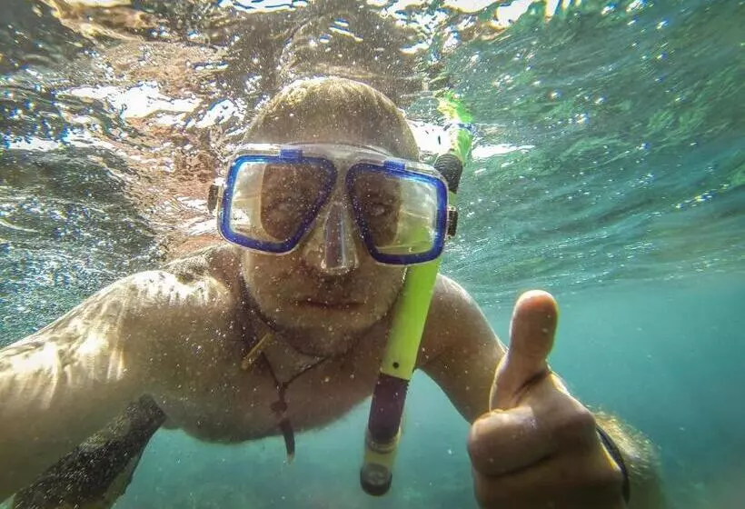 Fotos del hotel Lighthouse Inn 2:  12