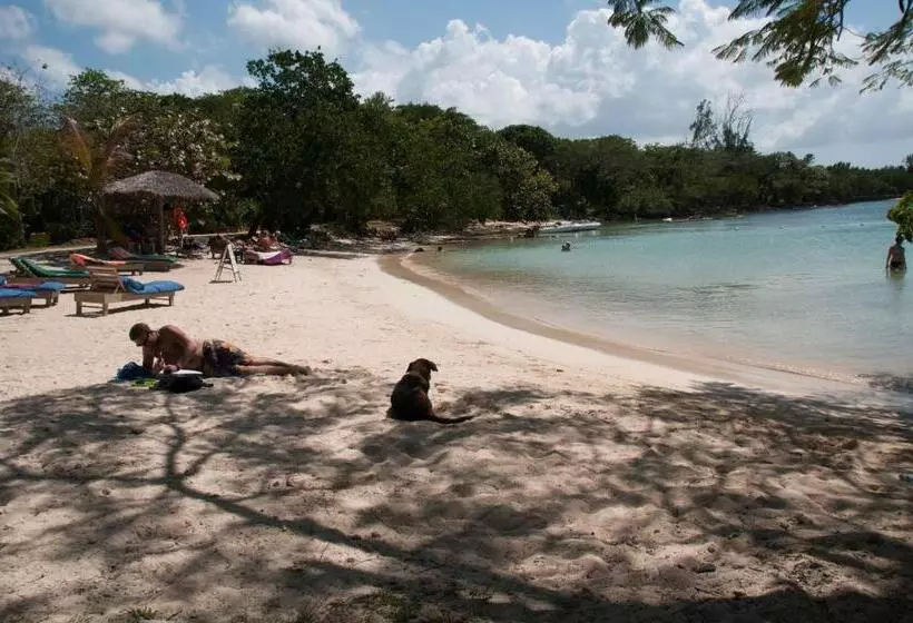 Fotos del hotel Lighthouse Inn 2:  19