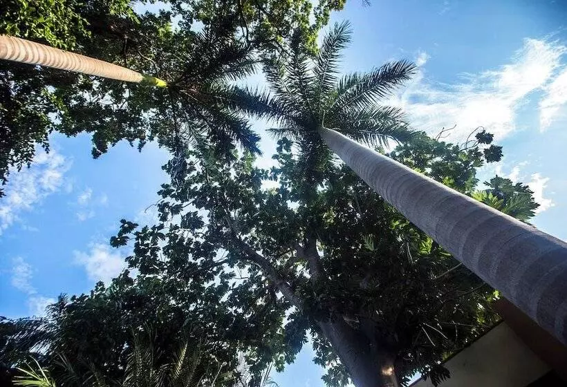 Fotos del hotel Plaza Mirador:  8