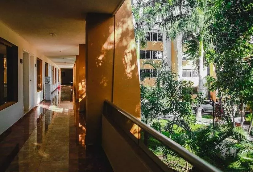 Fotos del hotel Plaza Mirador:  16