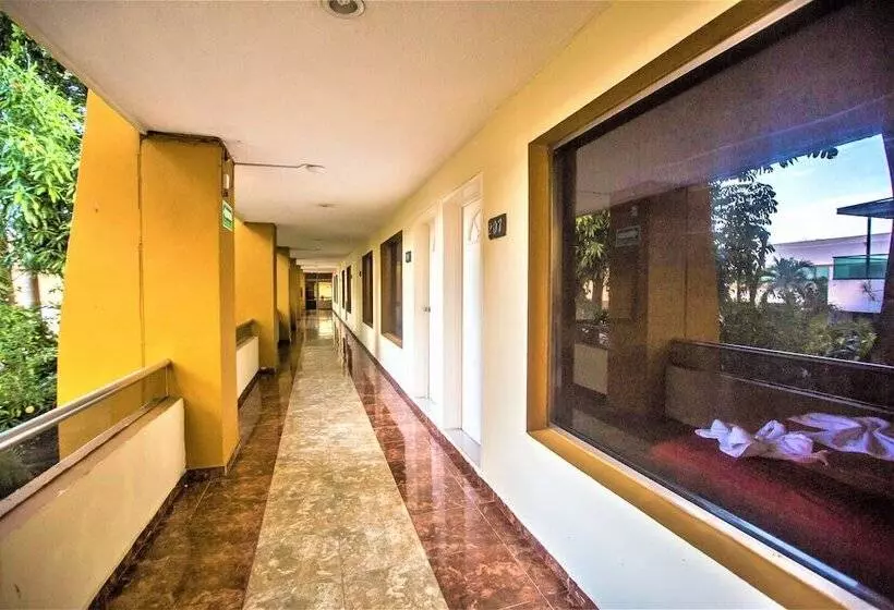 Fotos del hotel Plaza Mirador:  20