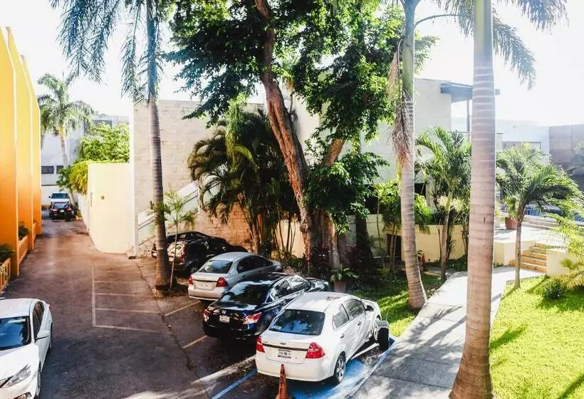 Fotos del hotel Plaza Mirador:  7