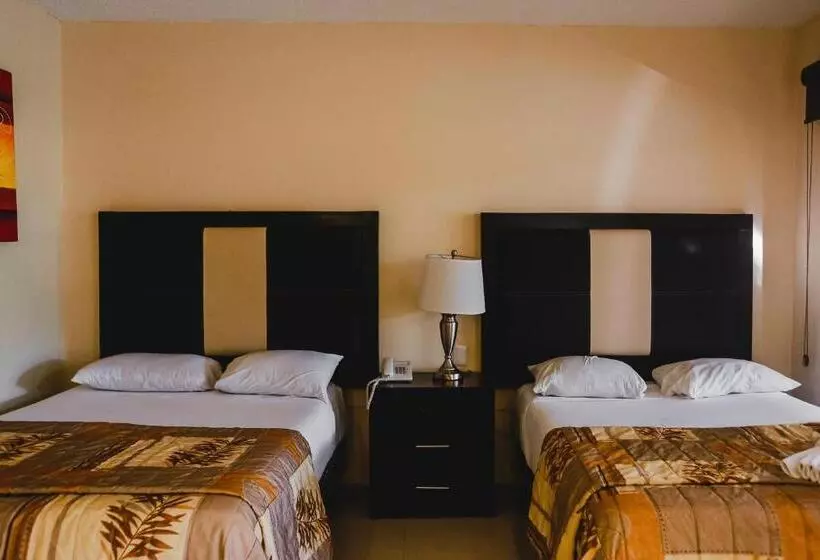 Fotos del hotel Plaza Mirador:  13