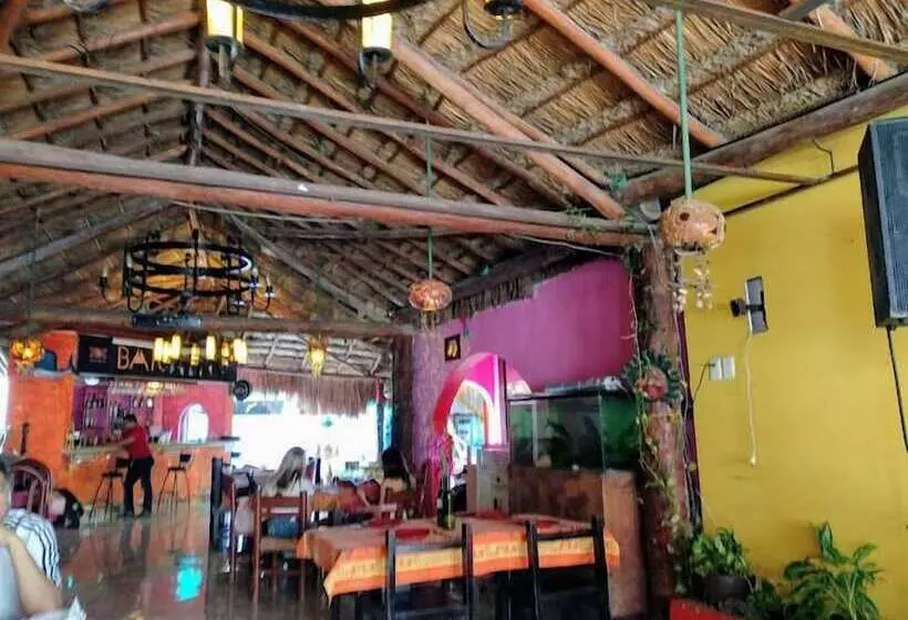 Fotos del hotel Vista Caribe Diving Resort Playa Del Carmen:  3