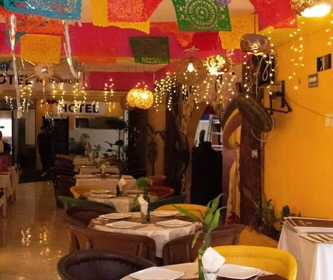 Fotos del hotel Vista Caribe Diving Resort Playa Del Carmen:  14