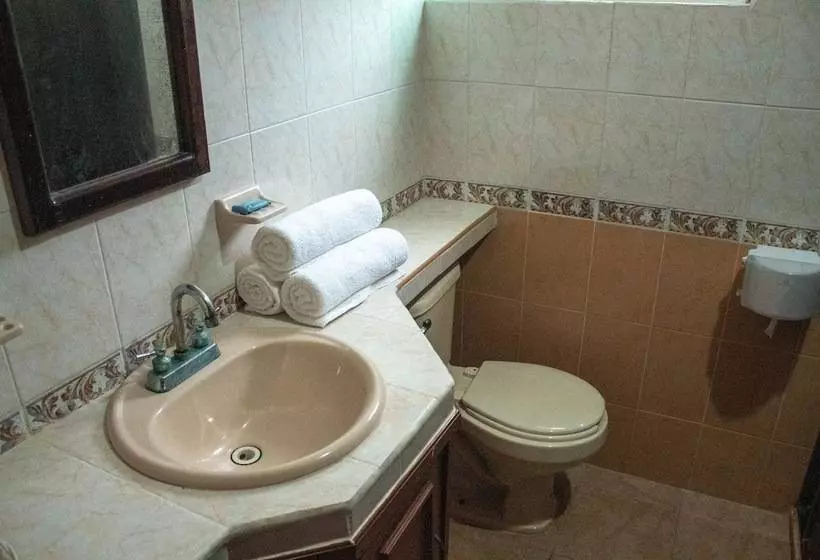 Fotos del hotel Vista Caribe Diving Resort Playa Del Carmen:  20