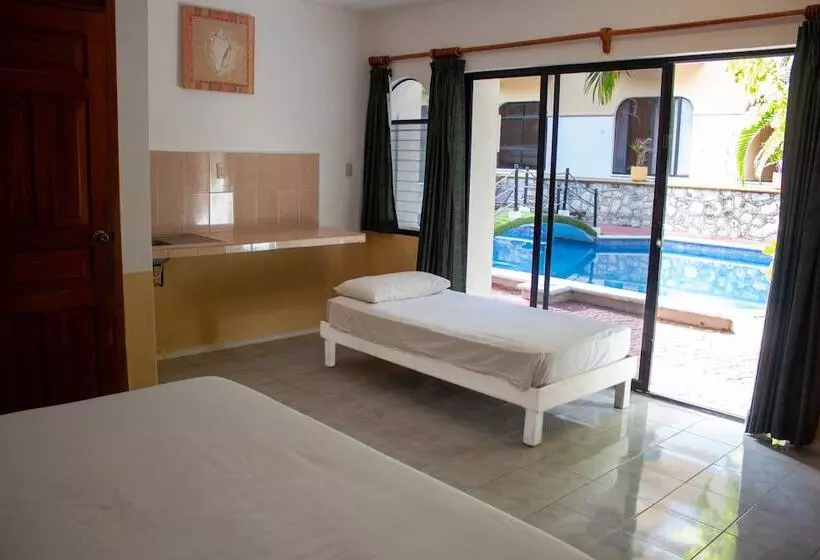 Fotos del hotel Vista Caribe Diving Resort Playa Del Carmen:  19