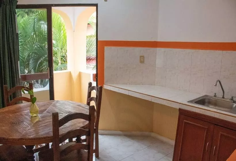 Fotos del hotel Vista Caribe Diving Resort Playa Del Carmen:  4