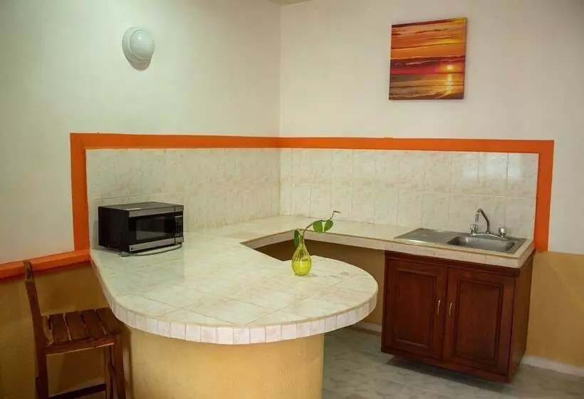 Fotos del hotel Vista Caribe Diving Resort Playa Del Carmen:  10