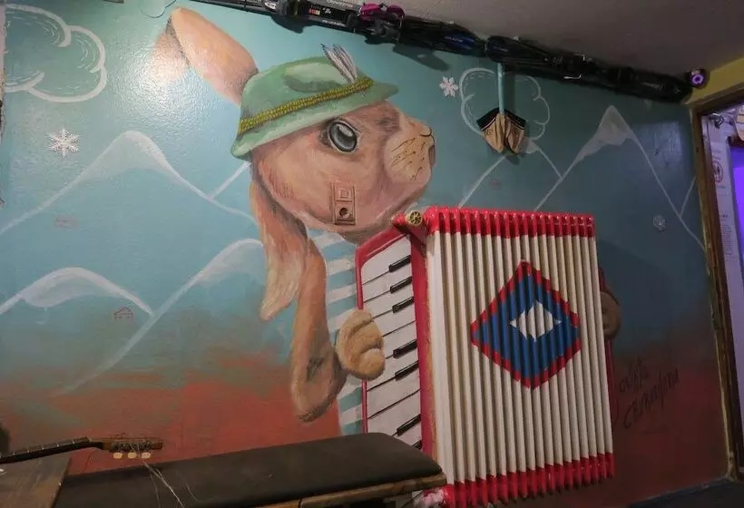 Fotos del hotel Snowbunnys Backpackers Hostel:  13