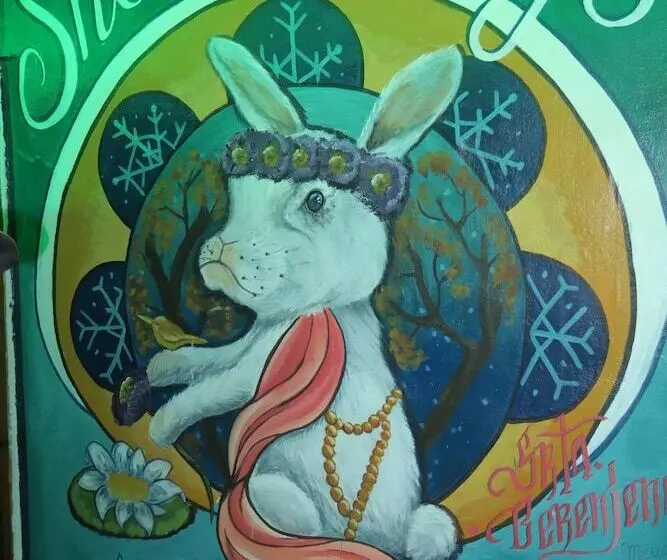 Fotos del hotel Snowbunnys Backpackers Hostel:  9