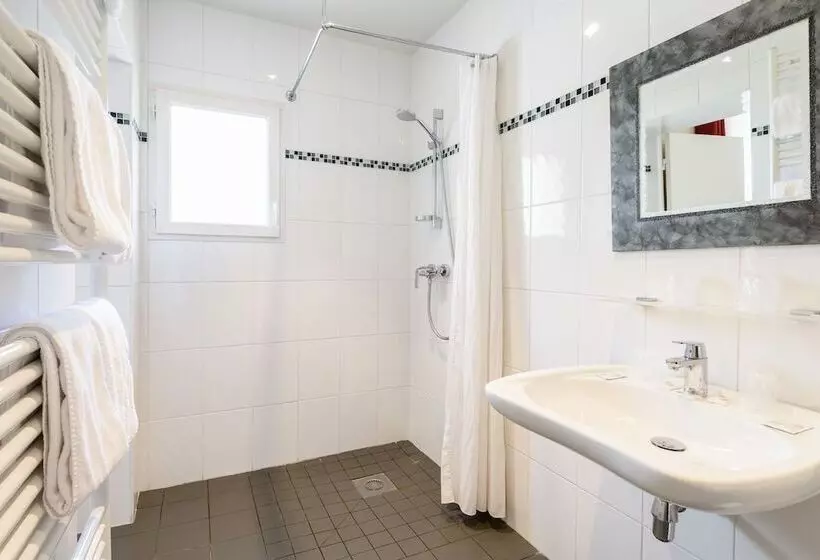 Fotos del hotel Hotel Anjou:  13