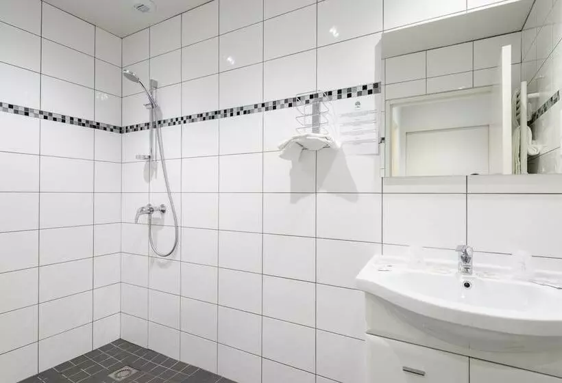 Fotos del hotel Hotel Anjou:  5