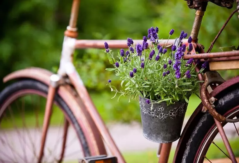 Fotos del hotel Hämeenkylä Manor:  6