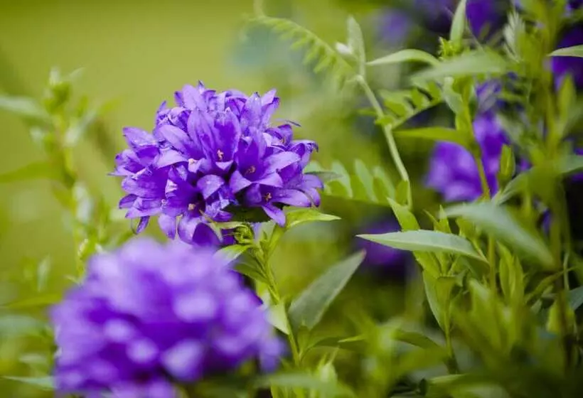 Fotos del hotel Hämeenkylä Manor:  3