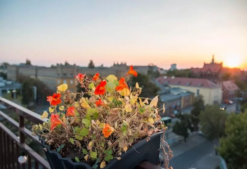 Fotos del hotel Gaja:  10