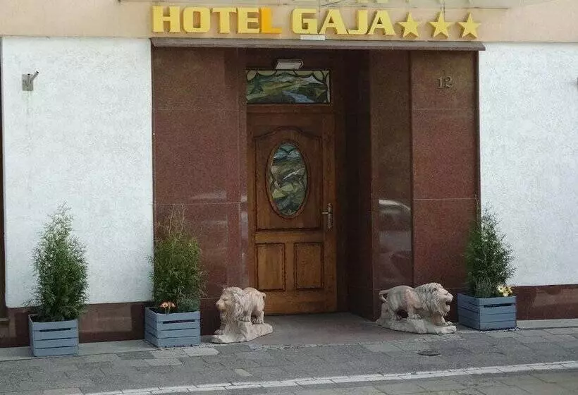 Fotos del hotel Gaja:  12