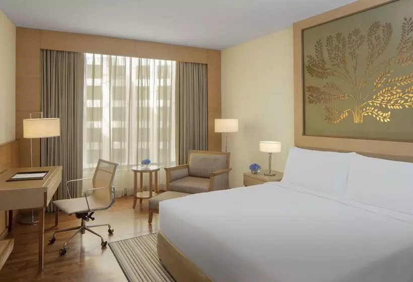 Fotos del hotel Radisson Blu Hotel New Delhi Dwarka:  2