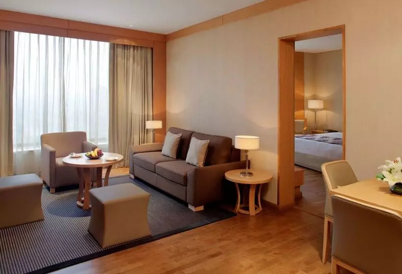 Fotos del hotel Radisson Blu Hotel New Delhi Dwarka:  13