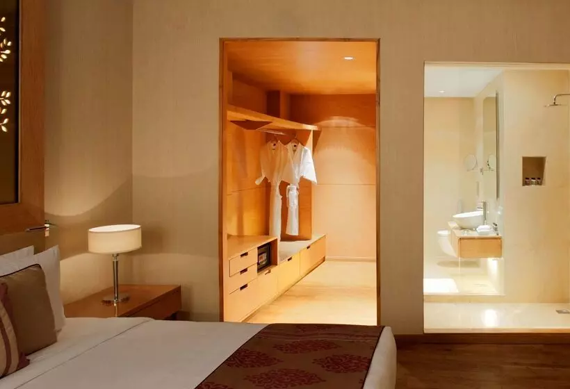 Fotos del hotel Radisson Blu Hotel New Delhi Dwarka:  8