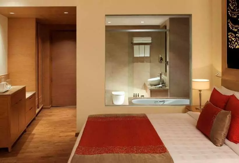 Fotos del hotel Radisson Blu Hotel New Delhi Dwarka:  16