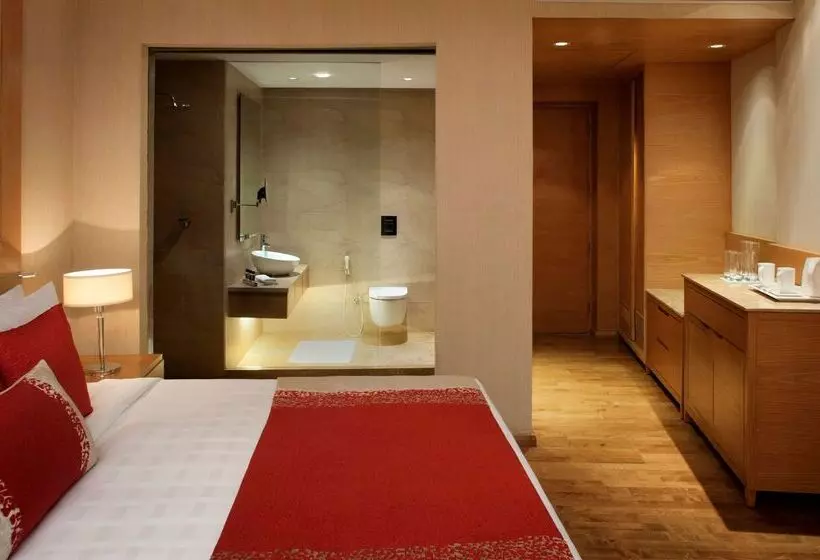 Fotos del hotel Radisson Blu Hotel New Delhi Dwarka:  19