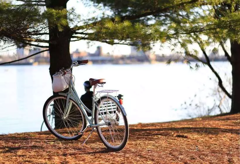 Fotos del hotel The Originals City, Hôtel Pont Rouge, Carcassonne:  14