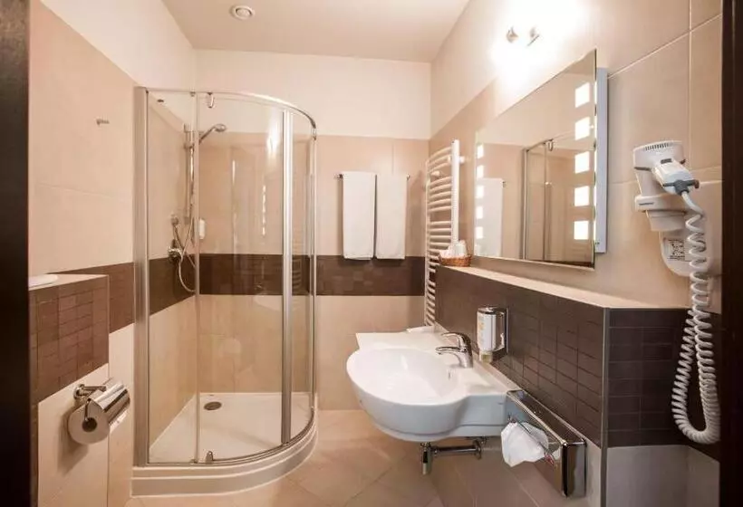 Fotos del hotel Ambasadorski Rzeszów:  4