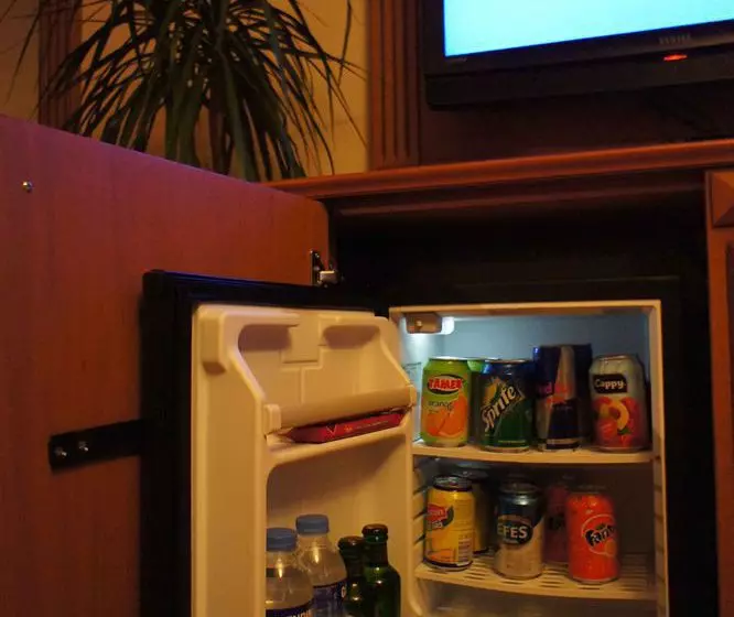 Fotos del hotel Millennium Suites:  15