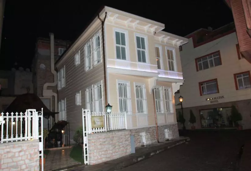 Fotos del hotel Villa Hagia Sophia Hotel:  8