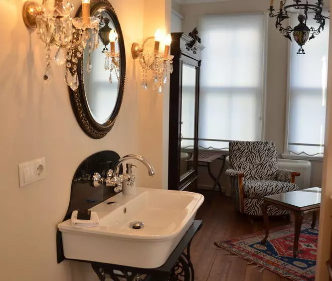 Fotos del hotel Villa Hagia Sophia Hotel:  6