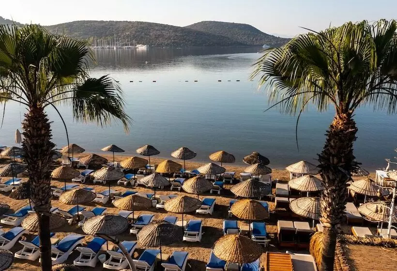 Fotos del hotel Costa Bitezhan:  9