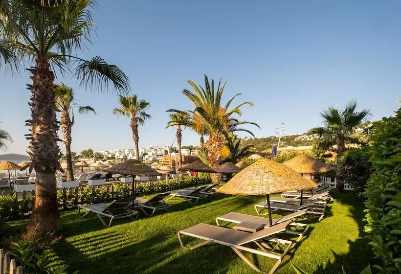 Fotos del hotel Costa Bitezhan:  3