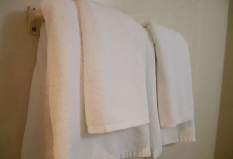 Fotos del hotel Grand Park  Panex Tokyo:  5