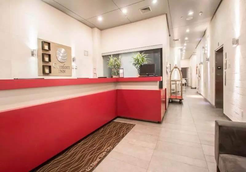 Fotos del hotel Comfort Inn Manhattan Bridge:  3