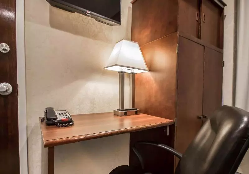 Fotos del hotel Comfort Inn Manhattan Bridge:  9