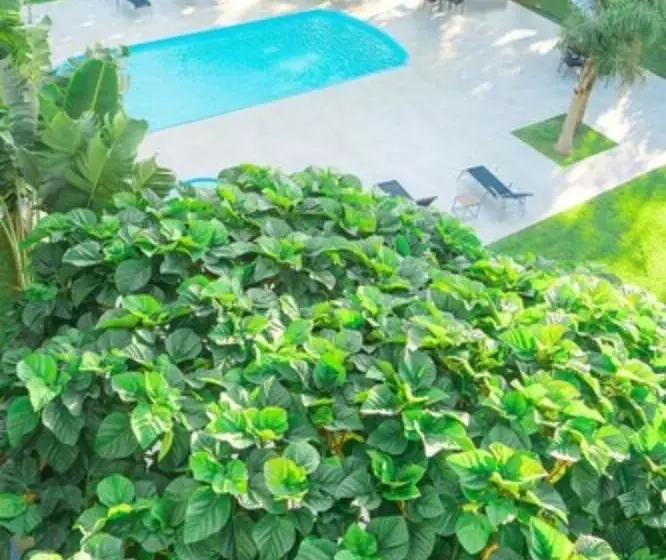 Fotos del hotel Iguassu Express:  21