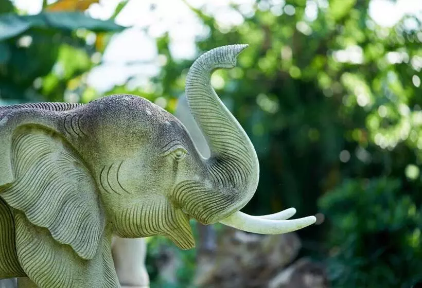 Fotos del hotel Yoma Hotel, Pai:  8