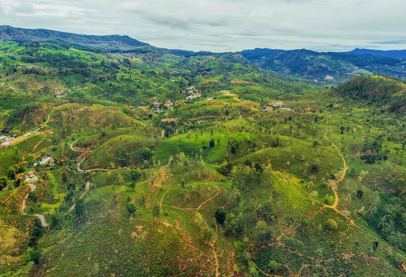 Fotos del hotel Amaya Langdale Nuwara Eliya:  6