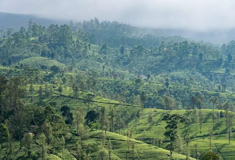 Fotos del hotel Amaya Langdale Nuwara Eliya:  12