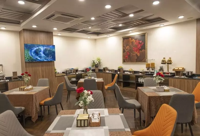 Fotos del hotel Sen Viet:  6