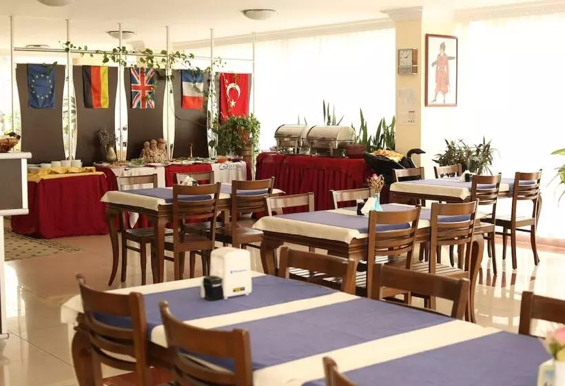 Fotos del hotel Sinemis Otel:  3