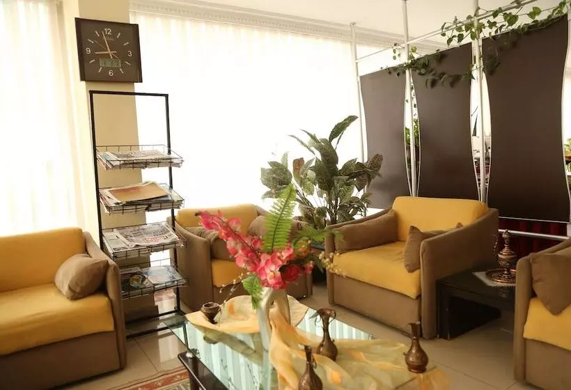 Fotos del hotel Sinemis Otel:  5