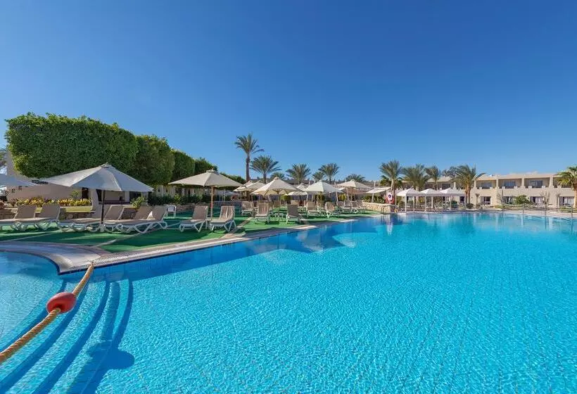 Fotos del hotel Sentido Reef Oasis Senses Aqua Park Resort:  13