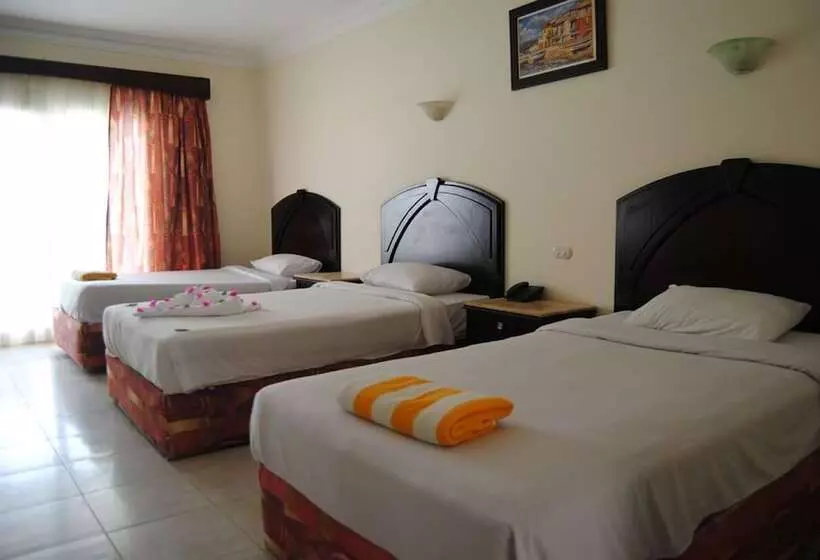 Fotos del hotel Viva Sharm:  22